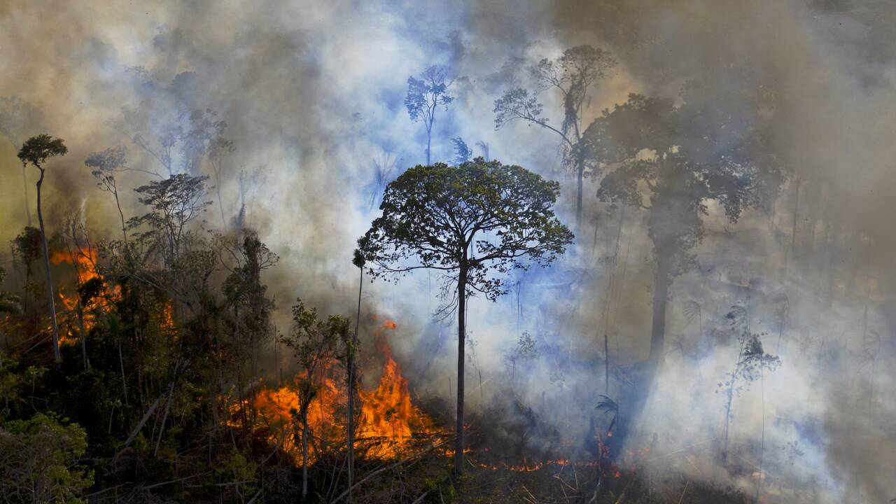 Au Brésil, les incendies de forêt au plus haut en dix ans