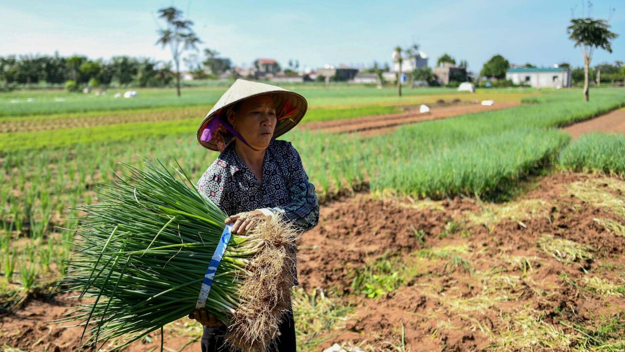 Vietnam : les habitudes alimentaires en question après une série de scandales