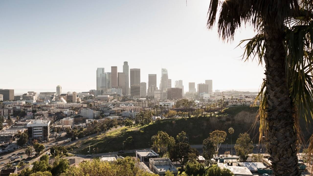 Los Angeles s'allie à Google pour cartographier ses arbres et lutter contre la chaleur