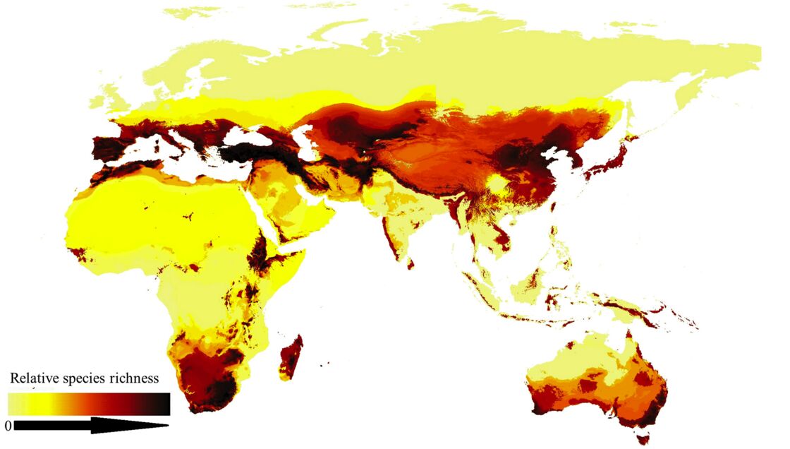 Decouvrez La Premiere Carte Des Especes D Abeilles Dans Le Monde Geo Fr