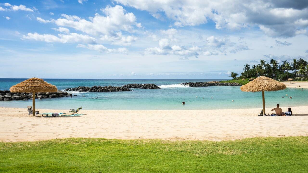 A Hawaii, des nuits d’hôtel offertes en échange de bénévolat