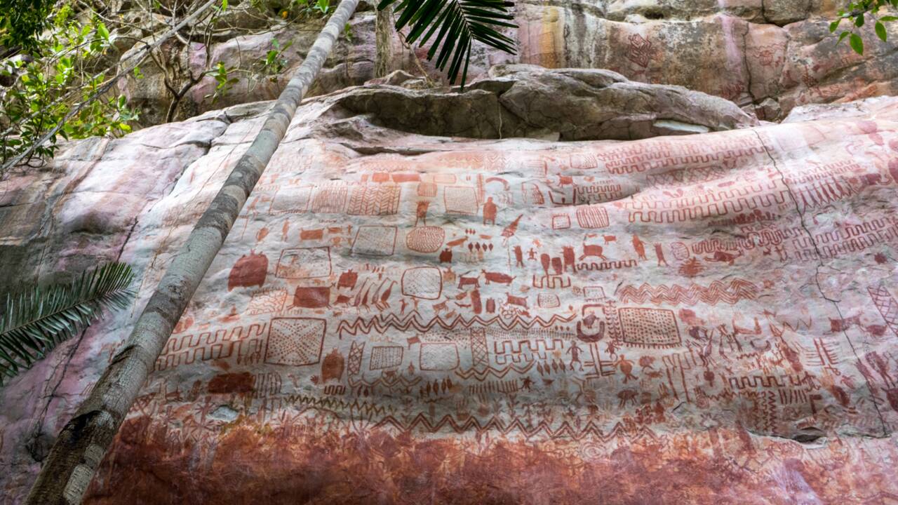 Des milliers de peintures rupestres vieilles de 12000 ans révélées dans la jungle colombienne