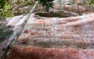 Migliaia di pitture rupestri risalenti a 12.000 anni fa sono emerse nella giungla colombiana