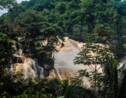 Protection des forêts tropicales : Le gouvernement congolais suspend 12 contrats forestiers illégaux