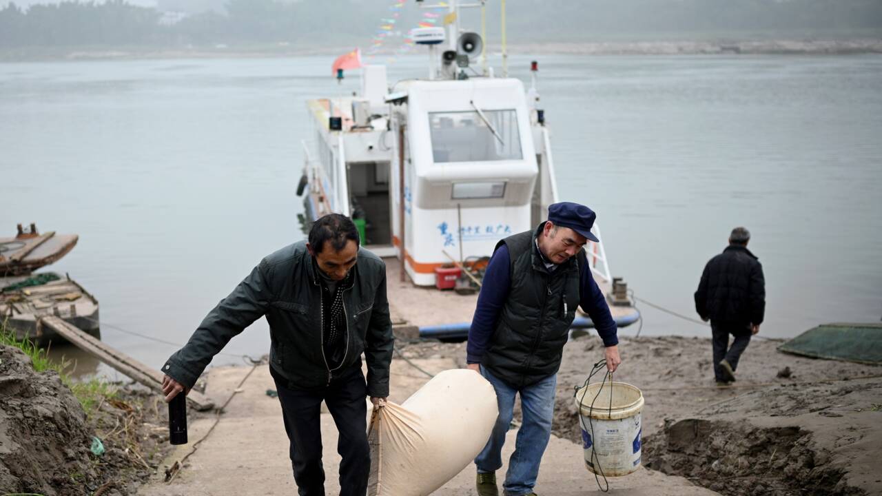 Les pêcheurs privés de poisson du Yangtsé contraints à la reconversion