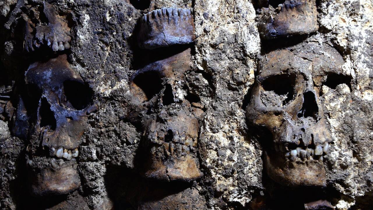 De nouveaux crânes humains émergent des vestiges aztèques de Mexico