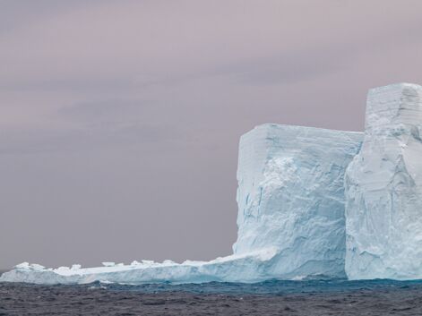 Souvenirs d'Antarctique : notre photographe raconte