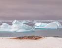 Souvenirs d'Antarctique : les images incroyables d'un voyage inoubliable