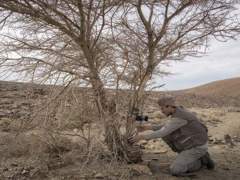 Ugo Mellone, un photographe au chevet de la grande faune du Sahara
