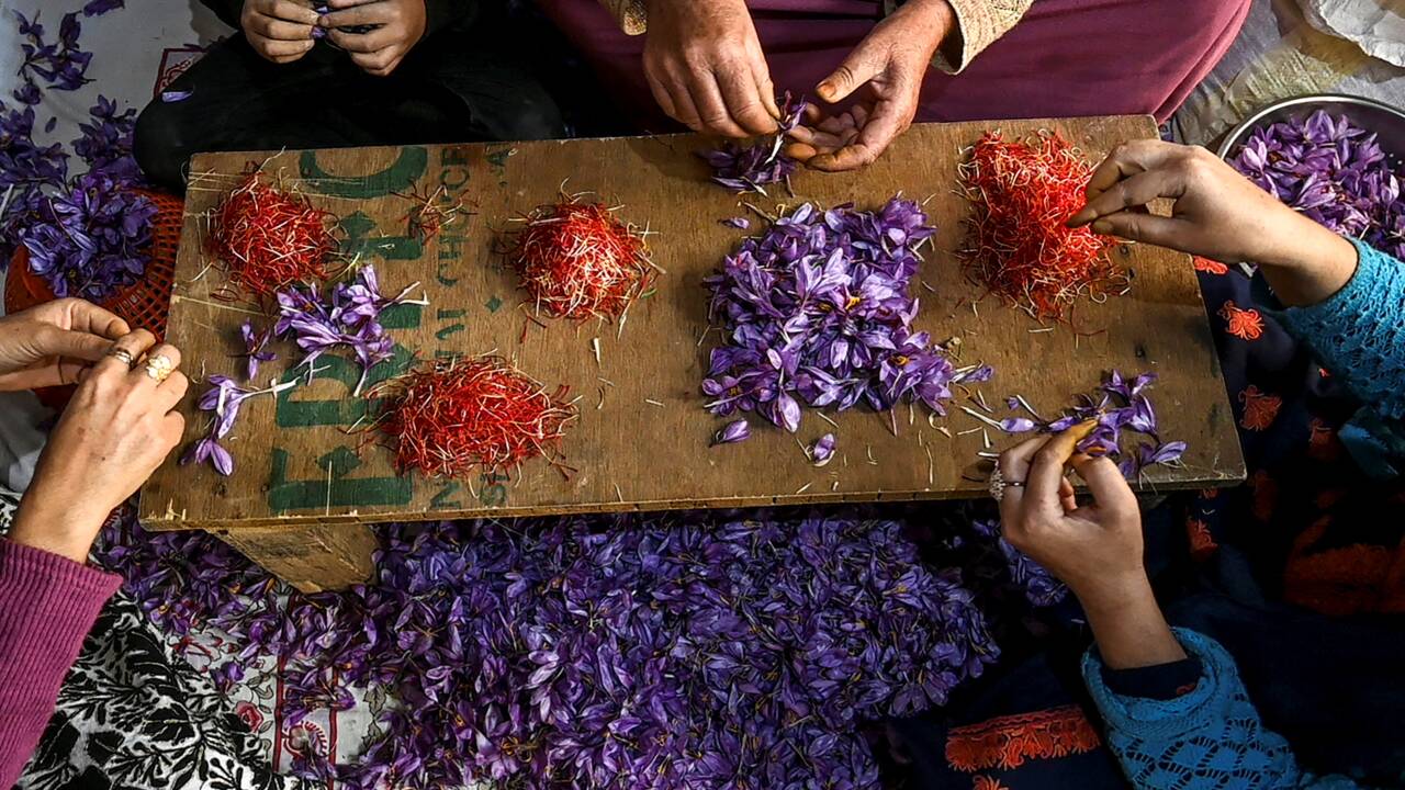 Le safran, "or rouge" du Cachemire, victime du changement climatique et de la guerre