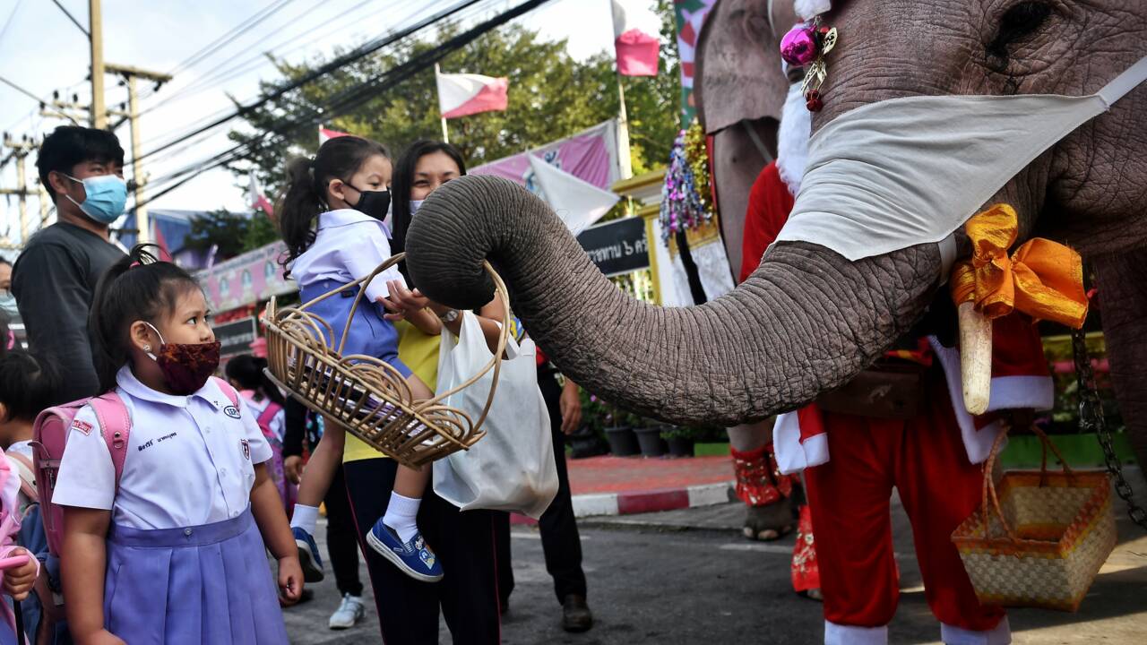 En Thaïlande, des éléphants déguisés en pères Noël distribuent des masques dans une école