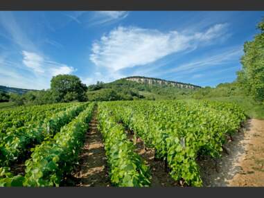 Les paradis nature de Bourgogne