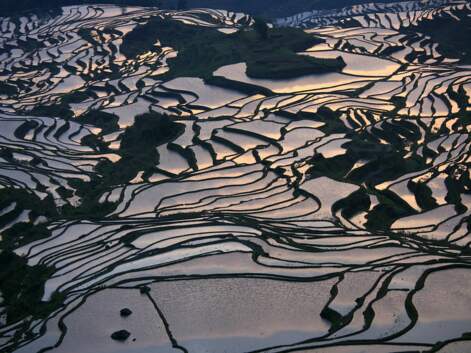 En Chine, dans les rizières du Yunnan