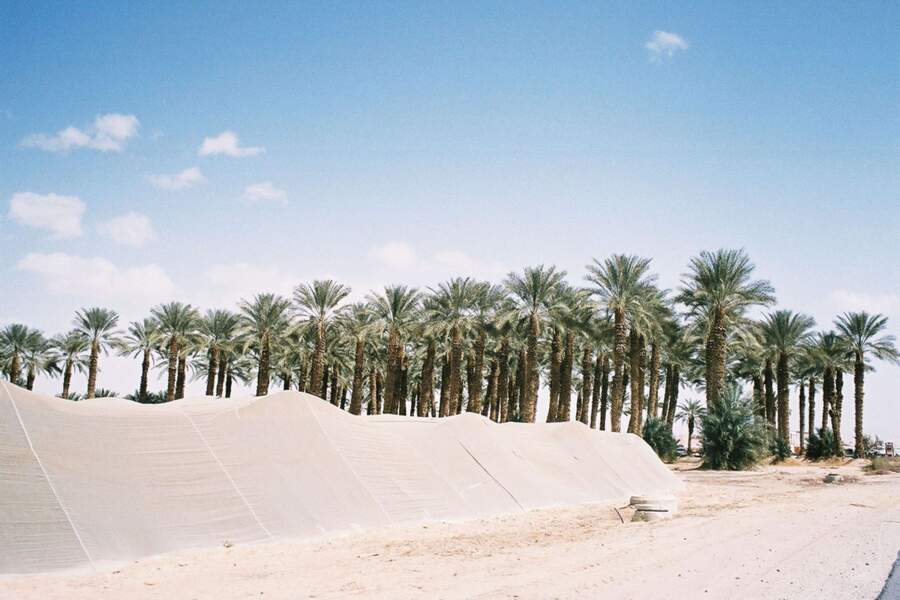 Comment l’agriculture se développe dans le désert israélien  GEO