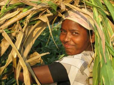 Les femmes, vecteurs du changement agricole en Inde et en Afrique
