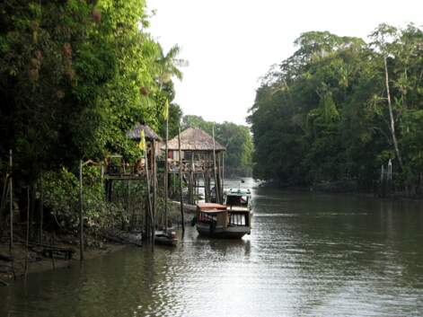 Brésil, de l'Amazonie aux villes coloniales