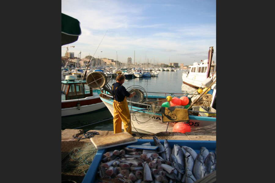 A Marseille, avec les pêcheurs du Vieux Port - GEO