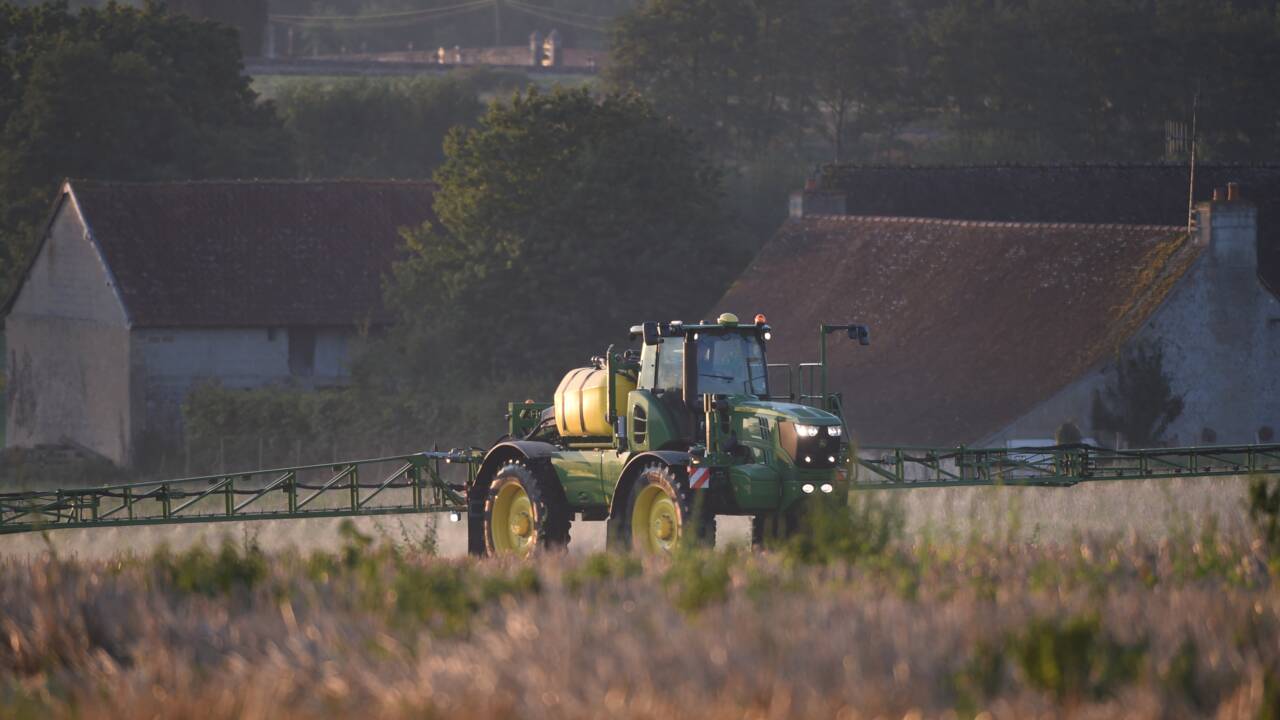 Les dérogations aux distances d’épandage de pesticides retoquées par le Conseil constitutionnel 