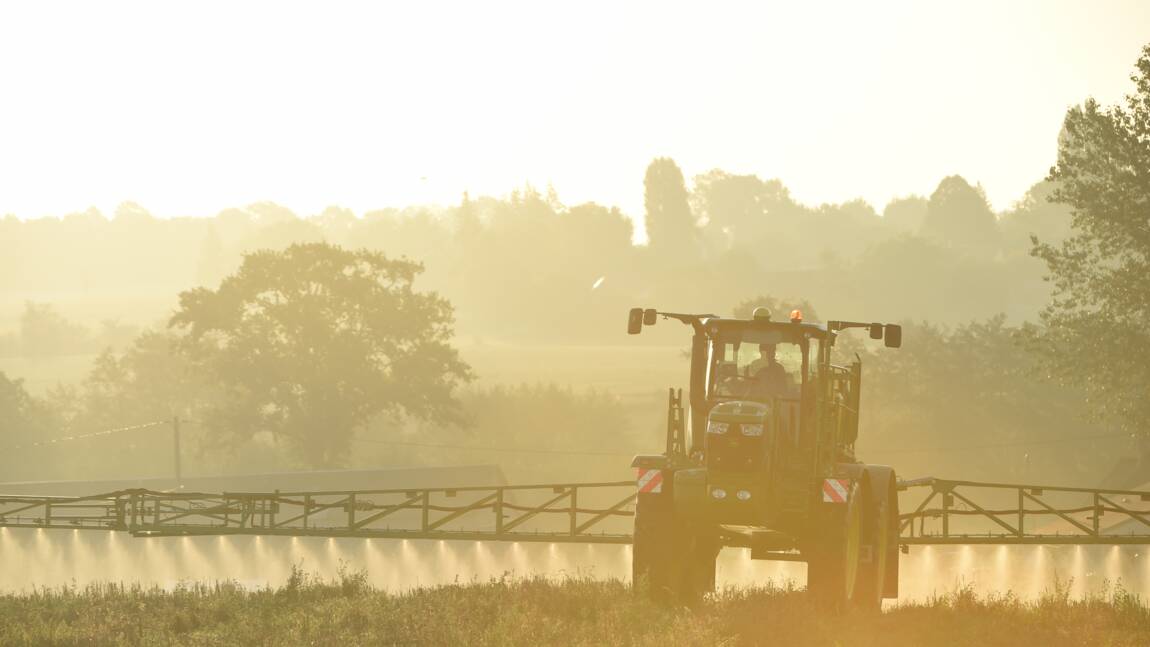 Gironde, Marne, Charente-Maritime identifiés comme les plus gros utilisateurs de pesticides