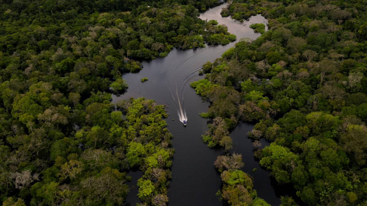 Réchauffement climatique : peut-on encore sauver l'Amazonie ?