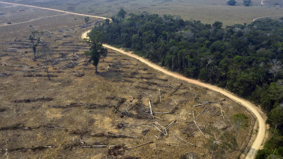 Brésil : 94% de la déforestation en Amazonie est illégale, selon un rapport