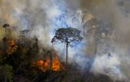 Desmatamento: dezenas de distribuidoras ameaçam Brasil com boicote