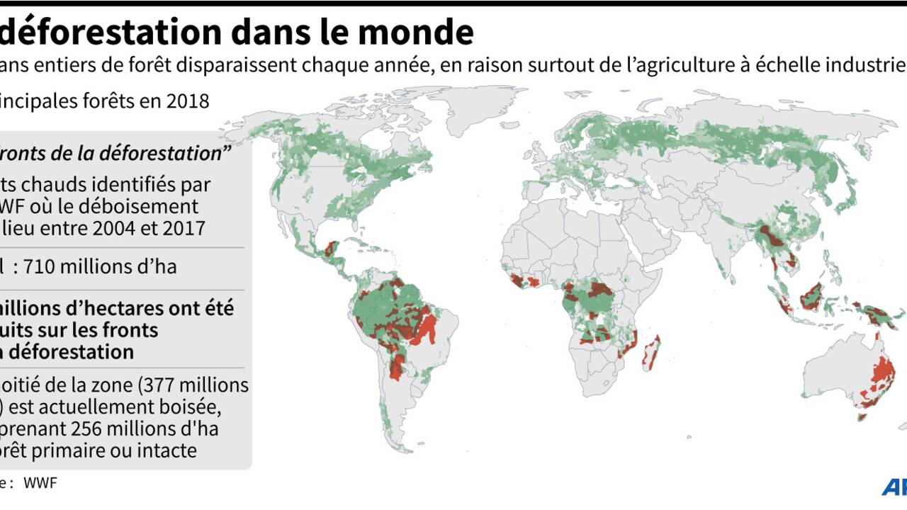 Déforestation : 43 millions d'hectares perdus sur les principaux "fronts", selon le WWF