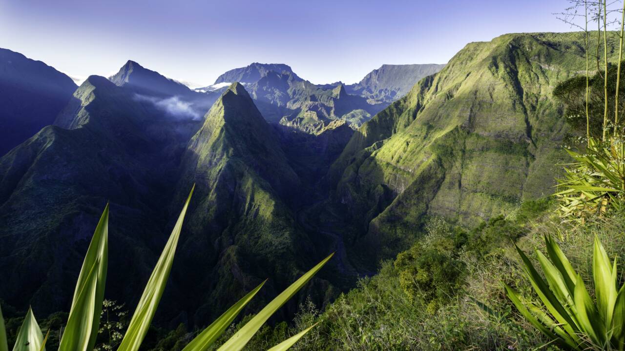 La Réunion peut-elle rester un paradis naturel ? Les défis de l'île verte