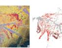 Indonésie : découverte d'une représentation de sanglier, plus ancienne peinture rupestre connue