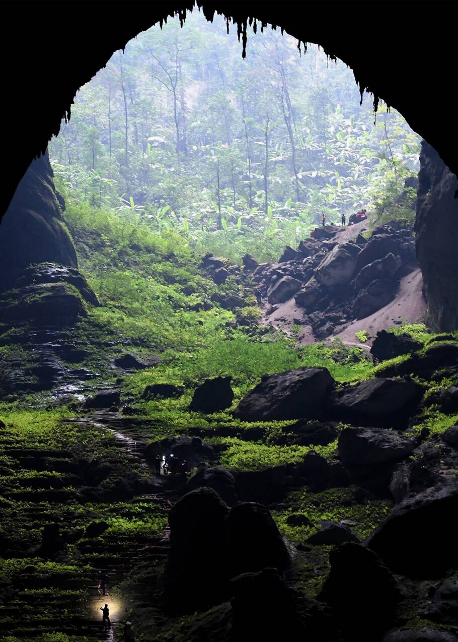 Vietnam : Son Doong, la plus grande grotte du monde, un écosystème unique sous la menace