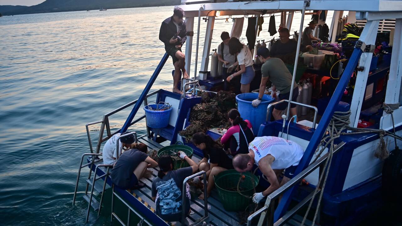 Thaïlande: des filets de pêche recyclés pour lutter contre le covid-19