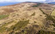 Scotland: discovery of a ceremonial site from the Neolithic period