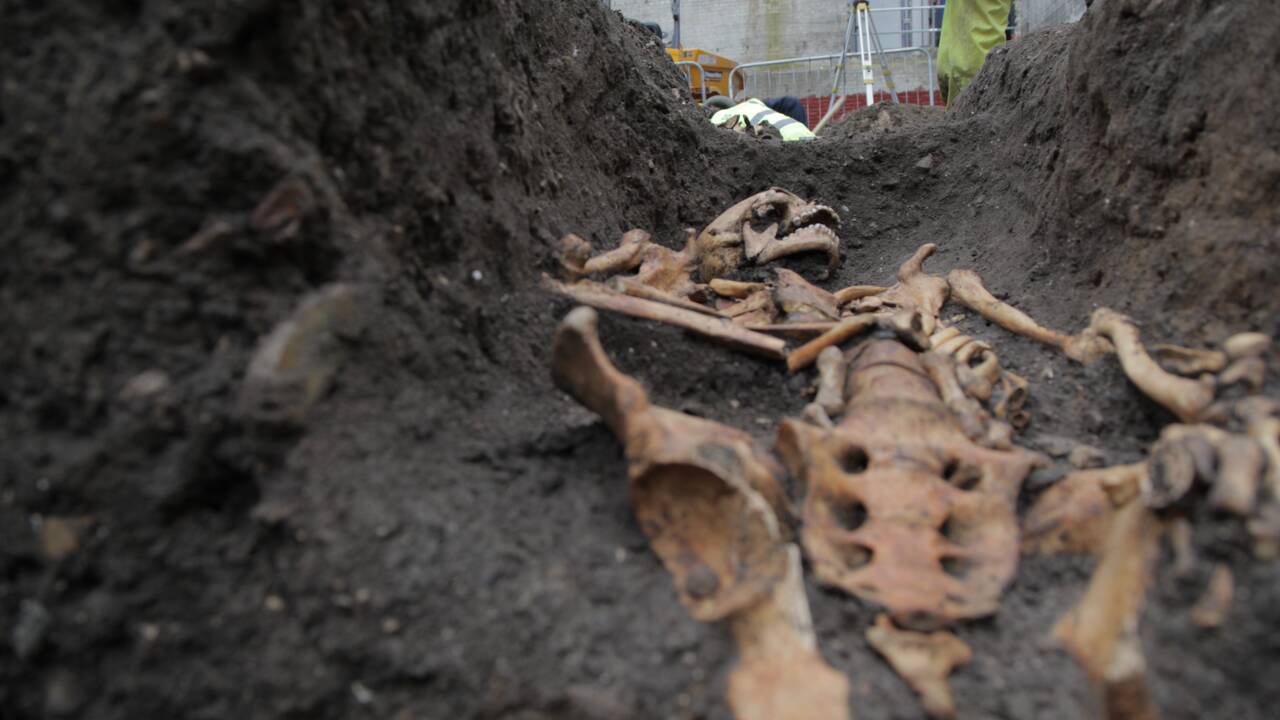 Au Royaume-Uni, 314 squelettes témoignent des inégalités sociales du Cambridge médiéval