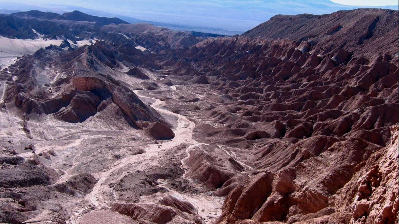 Le guano, engrais miracle utilisé par les anciennes civilisations sud-américaines dans le désert d'Atacama