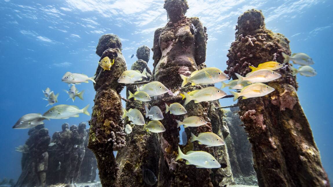 Cannes : découvrez les sculptures sous-marines de Jason deCaires, "l'un des rares musées ouverts en France"