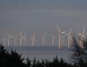 Les énergies renouvelables, première source d'électricité au Royaume-Uni en 2020