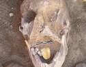 Egypte : des momies avec une langue en or découvertes près d'Alexandrie