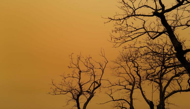 Du Sable Du Sahara Teinte Le Ciel En Jaune Sur Le Sud Et L Est De La France Geo Fr