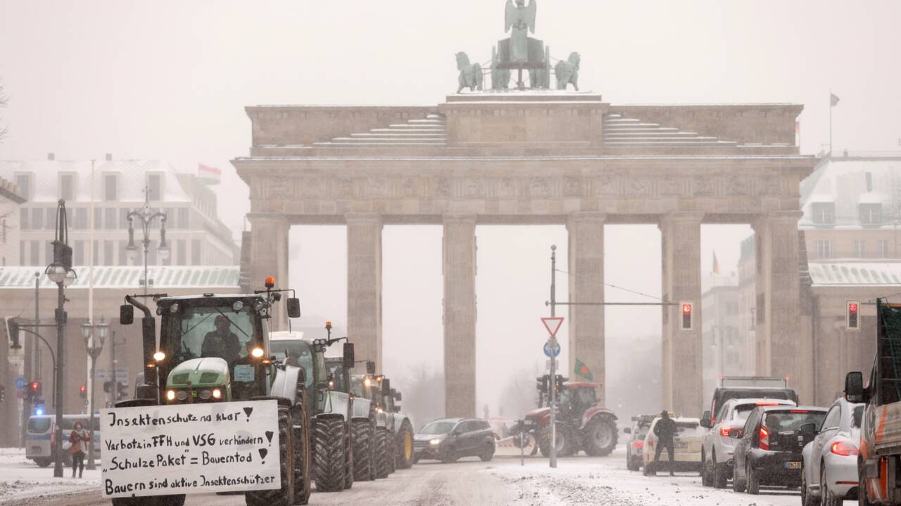 L'Allemagne va restreindre les pesticides malgré la bronca des agriculteurs