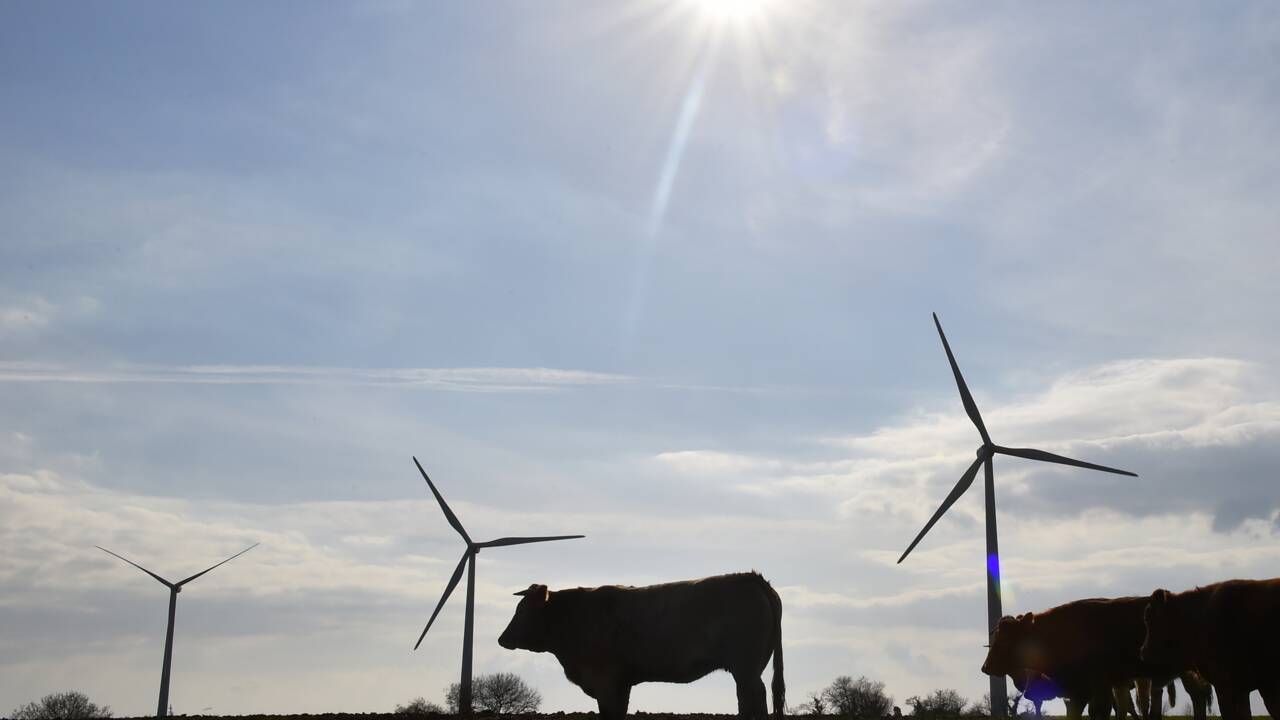Éoliennes de Nozay: dépôt d'un référé réclamant l'arrêt provisoire du parc