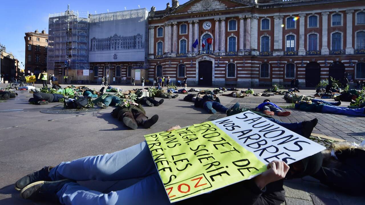 Toulouse: "Die-in" contre un projet de méga-scierie dans les Pyrénées