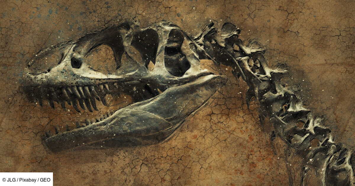 Une Nouvelle Theorie Tente D Expliquer La Disparition Des Dinosaures Geo Fr