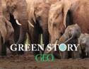 Green Story : 5 infos à retenir sur les animaux en ce début d’année 2021