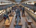 Comment les musées du monde entier préparent leur avenir