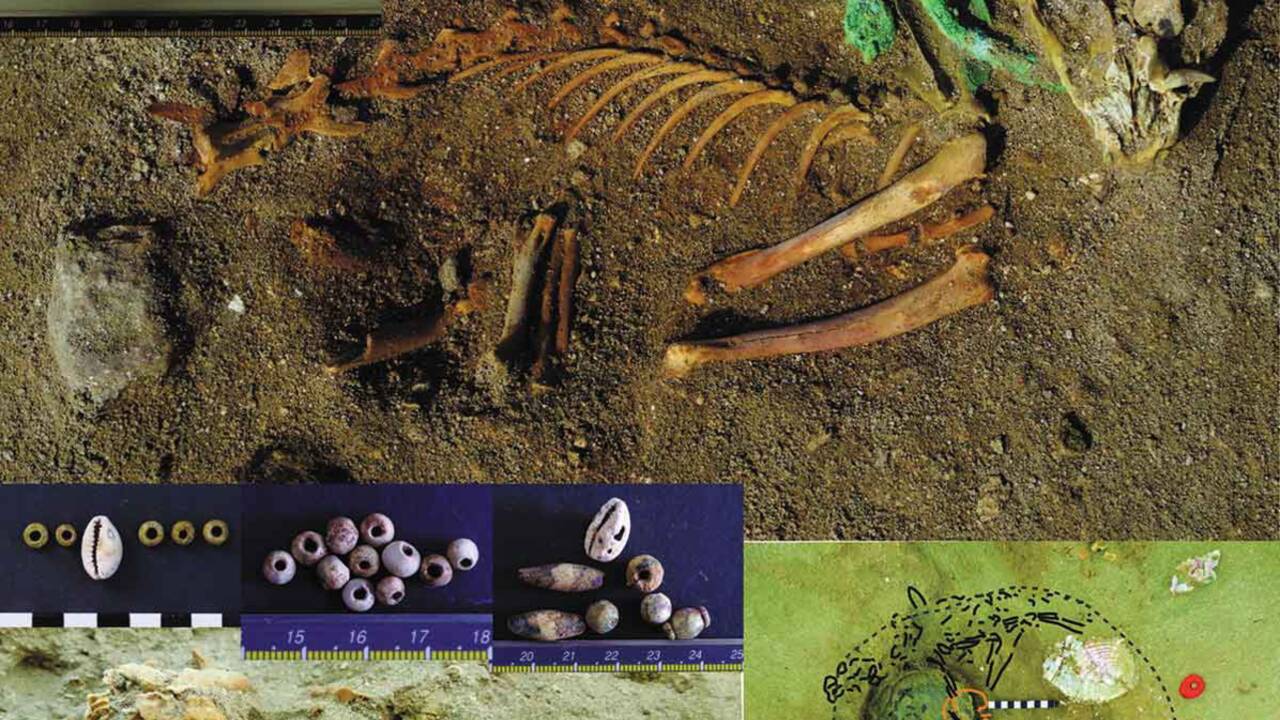 Un vaste cimetière d'animaux domestiques vieux de 2000 ans exhumé en Egypte ?