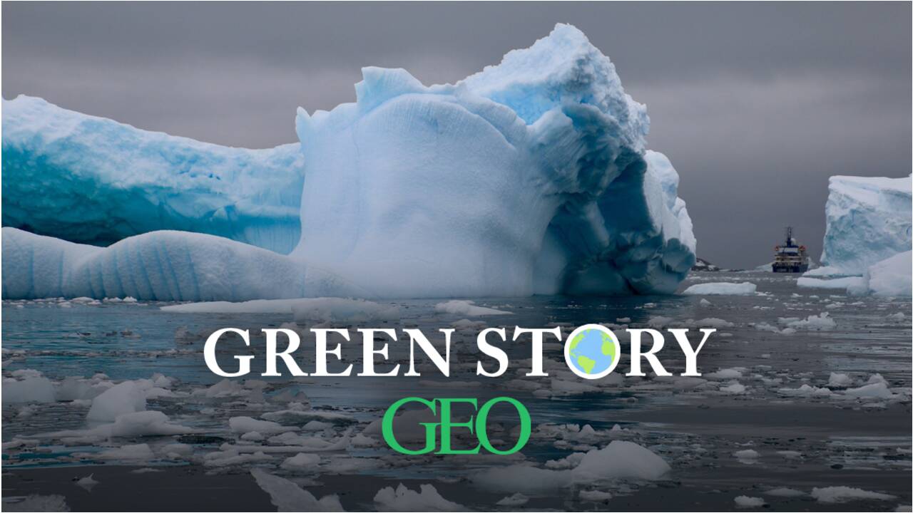 Green Story : 5 infos à retenir sur l’environnement en ce début d’année 2021