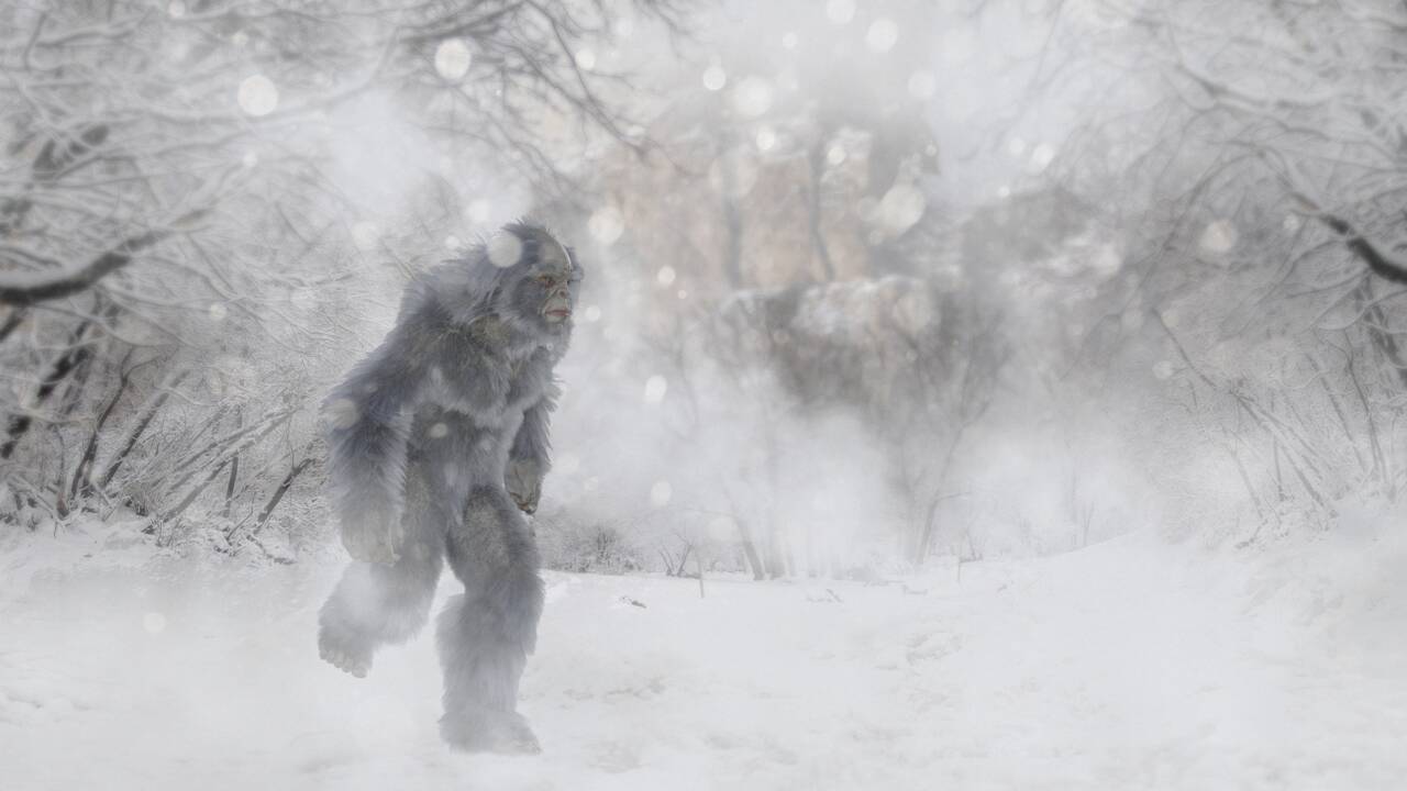 Yéti : l'abominable homme des neiges a-t-il existé ?