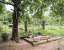 Inde : comment devenir un habitant de la cité utopique d'Auroville ?