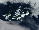 La mer plus chaude en Arctique responsable de vagues de froid en Europe