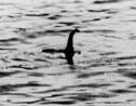 Le monstre du Loch Ness a-t-il existé ?